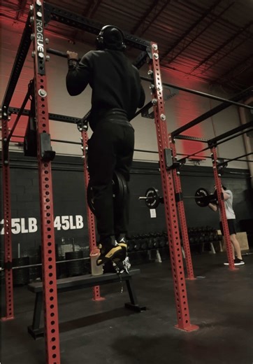 Effective Back Movements for Bodybuilding and Calisthenics