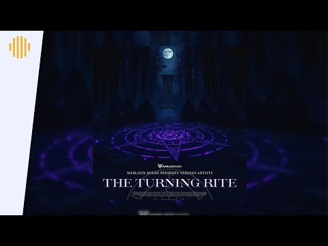 Mean Teeth & OMNEUM - Sun Goes Down I Drum & Bass