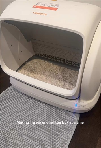 Automatic Cat Litter Box with Easy Entry