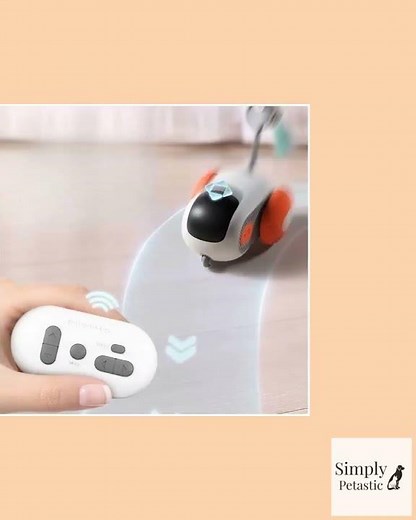 Intelligent Interactive Remote Control Mouse Pet Toy