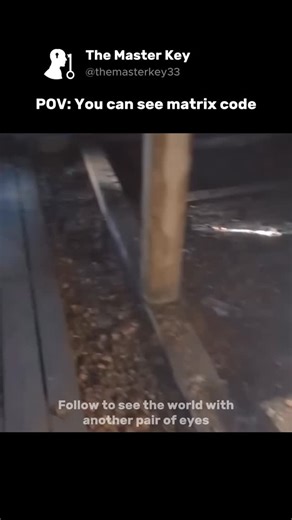 The Master Key on Instagram: "We walk around thinking we see everything, but the truth is our eyes only catch a tiny fraction of what's actually out there. The electromagnetic spectrum is massive, filled with waves and frequencies passing through us every single moment, and us? We see less than 1% of it. Think about it: X-rays, radio waves, microwaves, infrared, ultraviolet... all of this is happening right now, going straight through your body, but you see nothing. We're literally blind to most