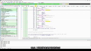 IDAPRO9.1官方教学视频简体中文语音字幕版_IDA03_搜索