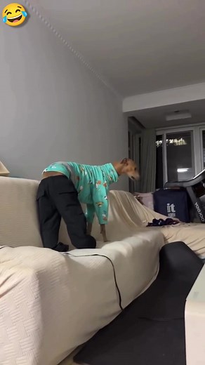 4.9K views · 15 reactions | A keya ha #funny #comedy #viralreelsシ | Manoranjan Nayek | Facebook