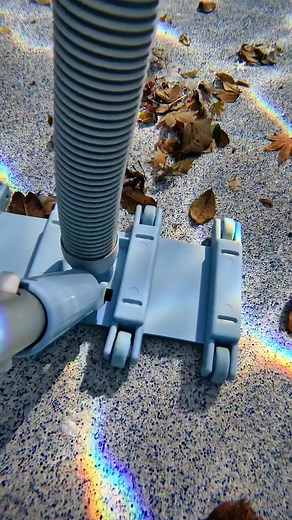 theaussiepoolguy on TikTok