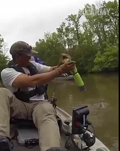 107M views · 55K reactions | Don't grab by the horns! | FailArmy | Facebook