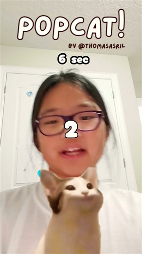 pop cat #cat #music