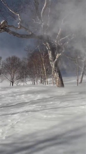 Incredible snownado/snowdevil seen on Sunday in Hakuba Valley, Nagano Prefecture, Japan. ❄️🌪️🇯🇵 Credit: X/Weather Monitor. | Extreme Weather