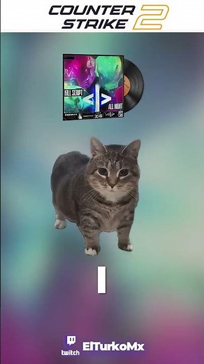 KILL SCRIPT - All Night (oia cat version) Music Kit FAV #elturkomx #cs2 #csgo #clips #gaming