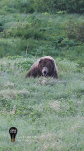 2.2M views · 20K reactions | That's one big cowboy. Revisiting my...