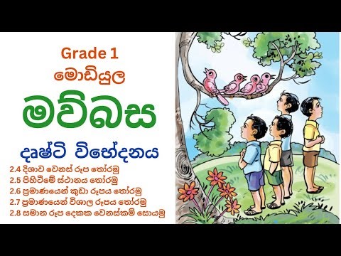 මොඩියුල 1- මව්බස -දෘෂ්ඨි විභේදනය - දිශාව , පිහිටීමේ ස්ථානය , ප්‍රමාණයෙන් කුඩා , විශාල රූපය තෝරමු