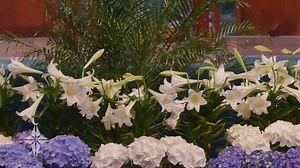 8.9K views · 280 reactions | Eastern Star Church on Reels | Facebook