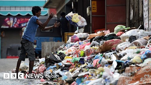 කසළ කළමනාකරණය ආරම්භ කළ යුත්තේ කොතැනින්ද? - BBC News සිංහල