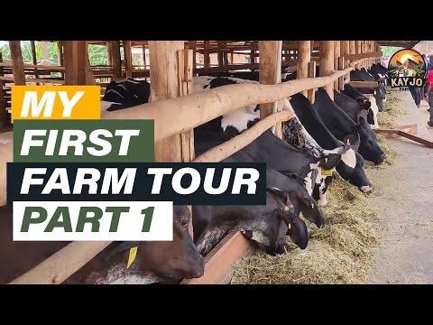 Starting My Dairy Journey! First Farm Tour & Big Lessons | ep89 #goatfarming
