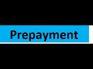 Prepayment from Payment journal