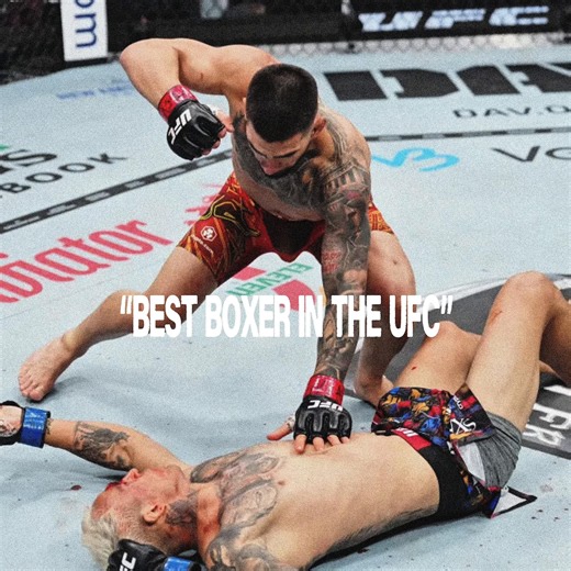 MYSTIC MAX #boxer #ufc #maxholloway | max holloway