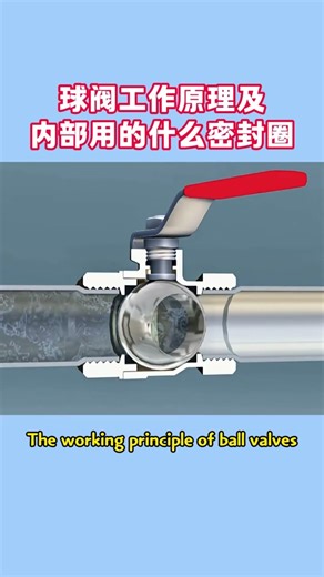 Ball Valve Working Principle & Internal Sealing | O-Ring Explained