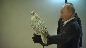 President Putin meets Storm the falcon.
