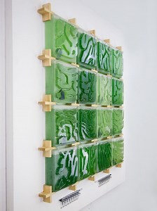 Modular Micro-Algae Walls