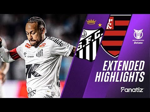 Santos vs. Flamengo 1 - 0 I Game Highlights I Brasileirão 2025