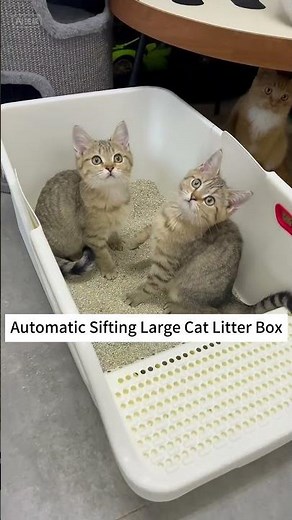 How to Make Cat Litter Cleanup Effortless | Self-Cleaning Litter Box