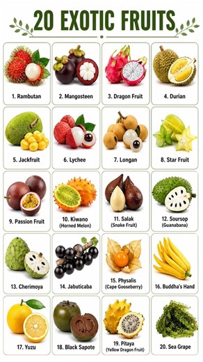 fruits names in english #shorts #usa #lifeisbutadream #easy #education #nurseryrhymes