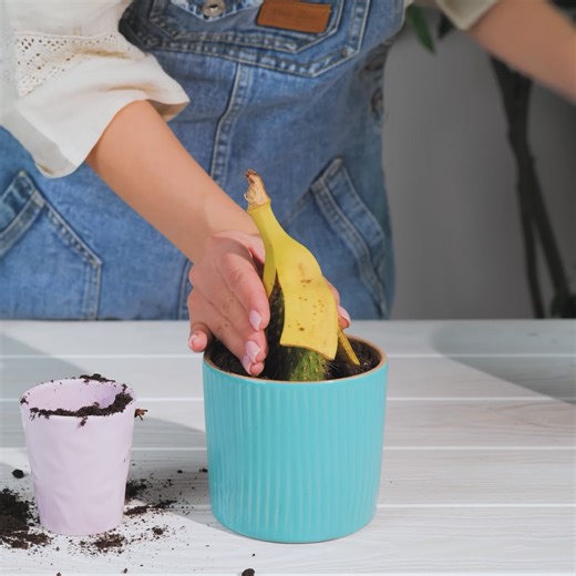 What Bananas Can Do for Your Garden Might Surprise You | 3-Minute Hacks