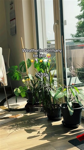 Current Weather Patterns in Germany: A Quick Overview