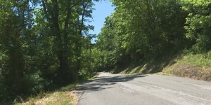 Ohio Department of Agriculture sprayed for Spongy Moths