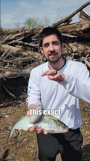 River Fishing Tips: The Best & Easiest Catfishing Rig Setup For Catching: FATKAT Best Catfish Rigs!