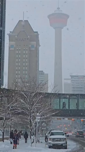 •𝐘𝐘𝐂 𝐂𝐈𝐑𝐂𝐋𝐄• | @ishi.insta Snowfall in Calgary Alberta Canada 🇨🇦 ☃️❄️ ☃️ Winter struggle is real in Calgary 🇨🇦 frozen fingers, heavy boots, and minus... | Instagram