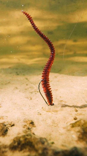 262K views · 796 reactions | The Next Evolution of Shakey Head Design | 6th Sense Fishing | Facebook