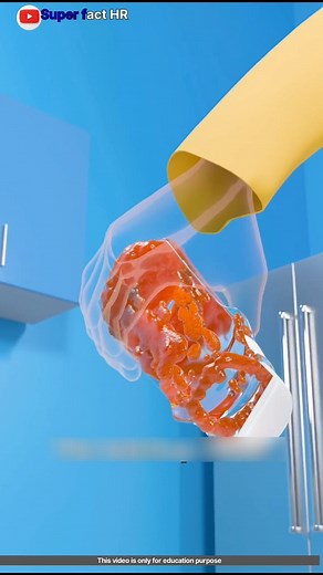 7.1K views | Getting All The Ketchup Out With Physics 樂 #viralpost2025シ #reelsfypシ #followersreels #videoviralシ #viralvideoシ #postviralシ #reelsviralシ #factsciencehr #facebookpost #facebookreelsviral #post2025シ #short #tiktok #likeforlikes #foryouシpage #explore #foryoupagereels #reelsviralシfb #facebookreel #shere #comment Fact video | Fact Science Hr | Facebook