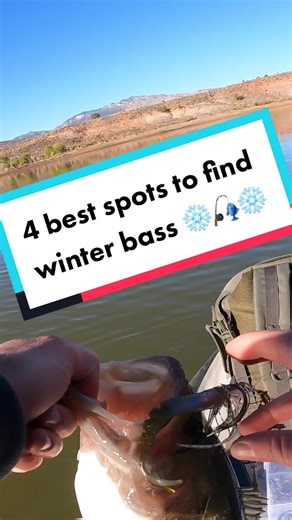 Best Winter Bass Fishing Spots: 4 Proven Locations