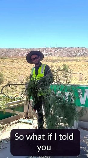 Alice Springs recycling legends: this one’s for you! It’s National Recycling Week, so we’re showing off a bit of local recycling ✨magic✨ Those branches you drop off don’t go to landfill - they come back as mulch! Grab some from the RWMF and keep the cycle turning! 🎥 Take a peek behind the scenes ↓ | Alice Springs Town Council