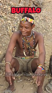 1.6M views · 10K reactions | Hadzabe tribe bushmen chief teaching visitors how to say Buffalo in Hadza traditional ways of speaking using clicking sounds, Hadzabe are proud of their culture and love sharing their traditions with visitors | Hadzabe Tribe Adventure | Facebook