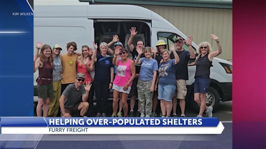 'Furry Freight': Helping over-populated shelters