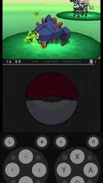 How to Defeat a Pokemon and How to Catch a Pokemon