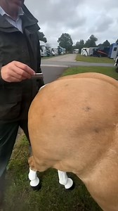 health and wellness What is Health and Wellness? 🌱 Health means overall physical, mental, and social well-being. Wellness is the daily habit of living healthy. 10 Types of Health: Physical, Mental, Emotional, Social, Spiritual, Intellectual, Environmental, Occupational, Financial, Reproductive. 7 Types of Wellness: Physical, Mental, Emotional, Social, Spiritual, Intellectual, Environmental. 7 Healthy Habits of Wellness: Good diet 🥗 | Exercise 🏃 | Sleep 😴 | Stress control 🧠 | Hydration 💧 | 