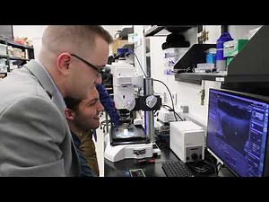 New research: Overcoming longstanding challenges for self-healing structural composites