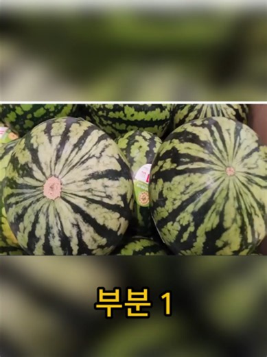 수박 고르는 법: 꿀수박 99% 고르는 방법 (부분 1)