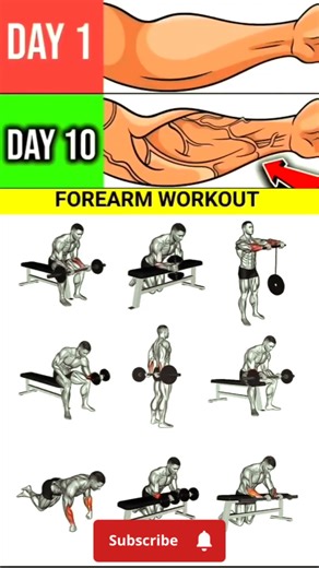 Forearm workout at home#bodyworkout#varynicevideo#modalvideo#forearmworkout