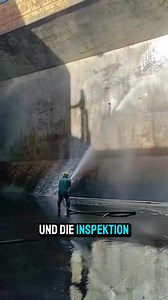 205K views · 972 reactions | So reinigen sie ein Schiff | Tierwissen | Facebook