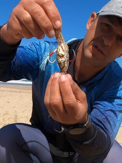 Master the Art of White Steenbras Fishing with Sandcrab Bait