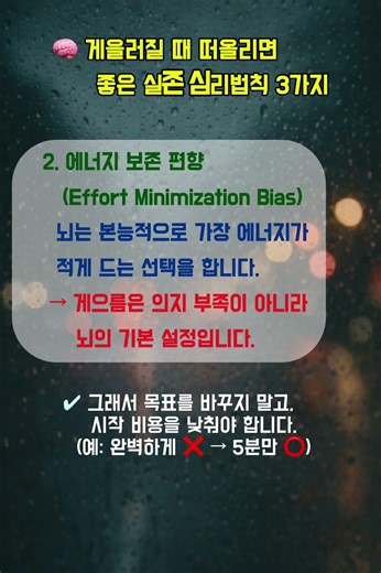 🧠 게을러질 때 떠올리면 좋은 심리법칙 3가지 #게을러질때 #추천쇼츠 #심리법칙 #긍정마인드 #동기부여 #멘탈관리