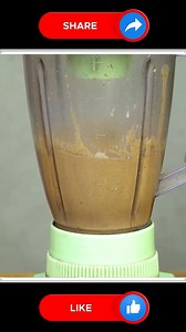 Best way to grow luffa ❤ | Small Vegetable Garden