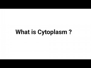 What is Cytoplasm ?