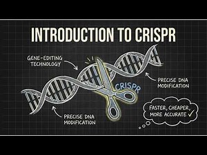 CRISPR Explained Simply | How CRISPR-Cas9 Gene Editing Works