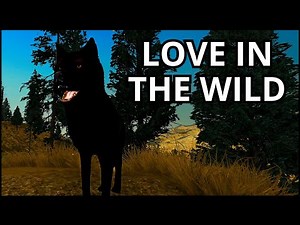 How I Found the Perfect Mate in WolfQuest 🐾 (Full Story!)