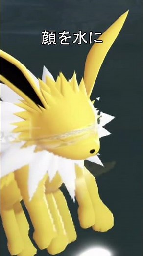 Eevee sleeping in water #Pokemon #Pokemonza #Eevee