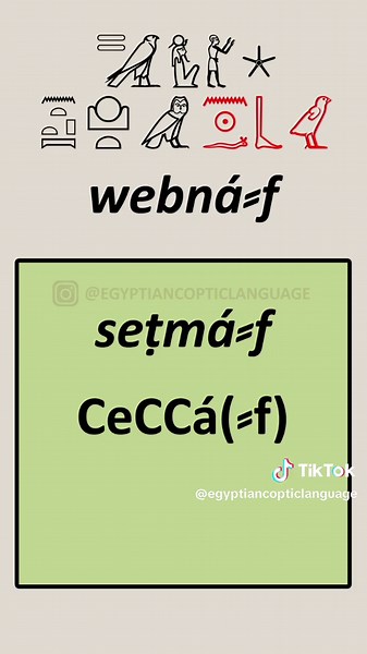 A short example how to vocalize Egyptian texts. It doesn't always work this smoothly. #egypt #ancientegypt #ancientegyptian #egyptianlanguage #afroasiatic #afroasiaticlanguages #hieroglyphs #hieroglyphic #coptic #copticlanguage #kemet #kmt #rnkmt #kemetic #kemeticlanguage #kemiclanguage #mdwntr #meduneter #medunetjer #ⲕⲏⲙⲉ #ⲭⲏⲙⲓ #ⲙⲛⲧⲣⲙⲛⲕⲏⲙⲉ #ⲙⲉⲧⲣⲉⲙⲛⲭⲏⲙⲓ #𓆎𓅓𓏏𓊖 #𓂋𓏤𓈖𓆎𓅓𓏏𓊖 #𓊹𓌃 #africa #maat #kemeticscience #ancientlanguage